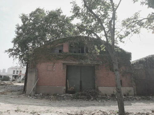 龙湖精品 车桥厂全新改造设计,街区花园的模式,使得建筑更具有活力 腾讯新闻