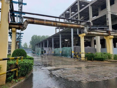 疫情下甲醇后市走势如何