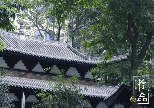 百年前的建筑成为城市磨难的见证者,这座道观究竟有何秘密