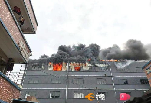 突发 东莞一包装制品厂发生火灾,浓烟冲天
