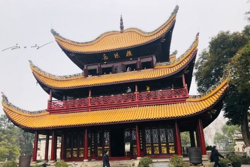 湖南有座存在感不高的城市,岳阳不是只有范仲淹笔下的岳阳楼