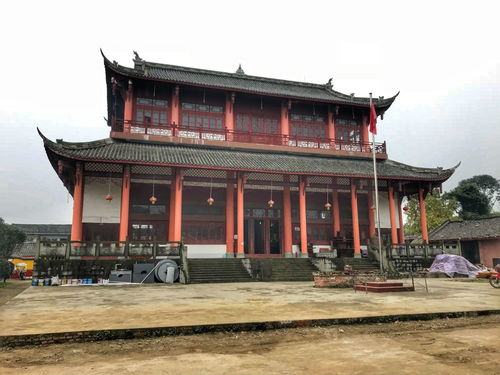 无标题