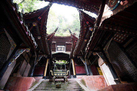 院墙,青苔