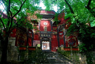 古韵南山