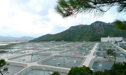 全省率先 临海实现镇街养殖水产品检测全覆盖