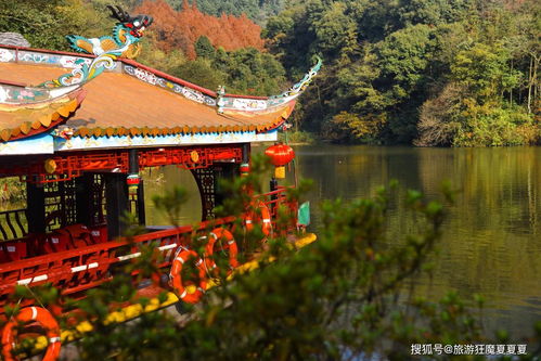 四大道教名山之青城山,前山问道后山度假,道观和民宿多不胜数