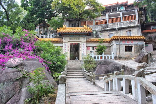 名列厦门24景,从道观变成尼姑庵,这座千年寺庙,到底经历了什么