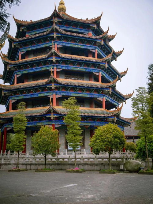 成都小众清幽竹林徒步,野趣十足