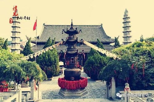 网