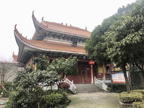 湖南岳阳最 凄凉 的千年道观,距离岳阳楼不远,但游客都不知道