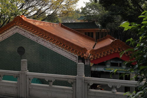 玄圆道观 四