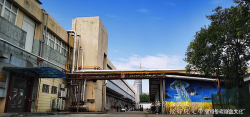 解读千年炒饭文化，探访浙江海通食品集团炒饭观光工厂