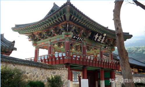 2020成都超详细旅游攻略 探秘道观文化与地道美食