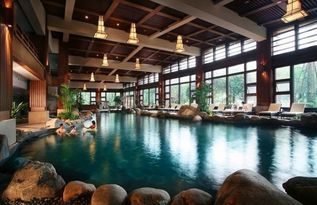 游山玩水问道观熊猫 都江堰迈向国际旅游名城