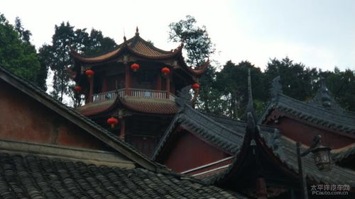 德阳浩子 自驾小三游双流万缘宫道观 道观